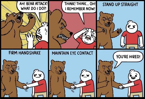 bear man meme